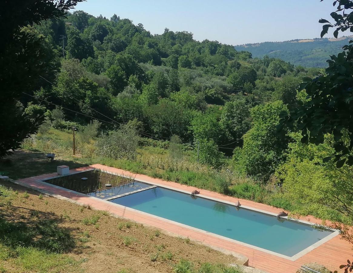Podere Di Maggio - Casa Della Nonna Santa Fiora Dış mekan fotoğraf
