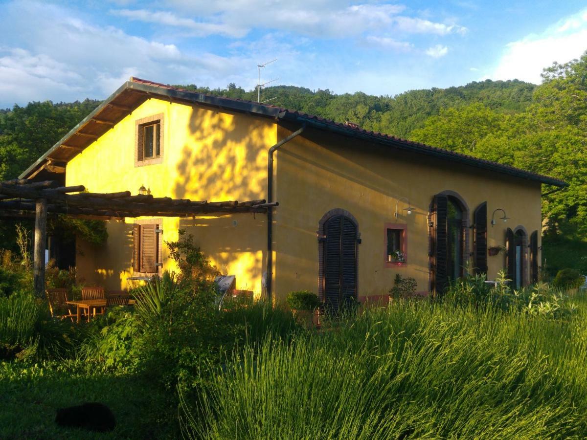 Podere Di Maggio - Casa Della Nonna Santa Fiora Dış mekan fotoğraf