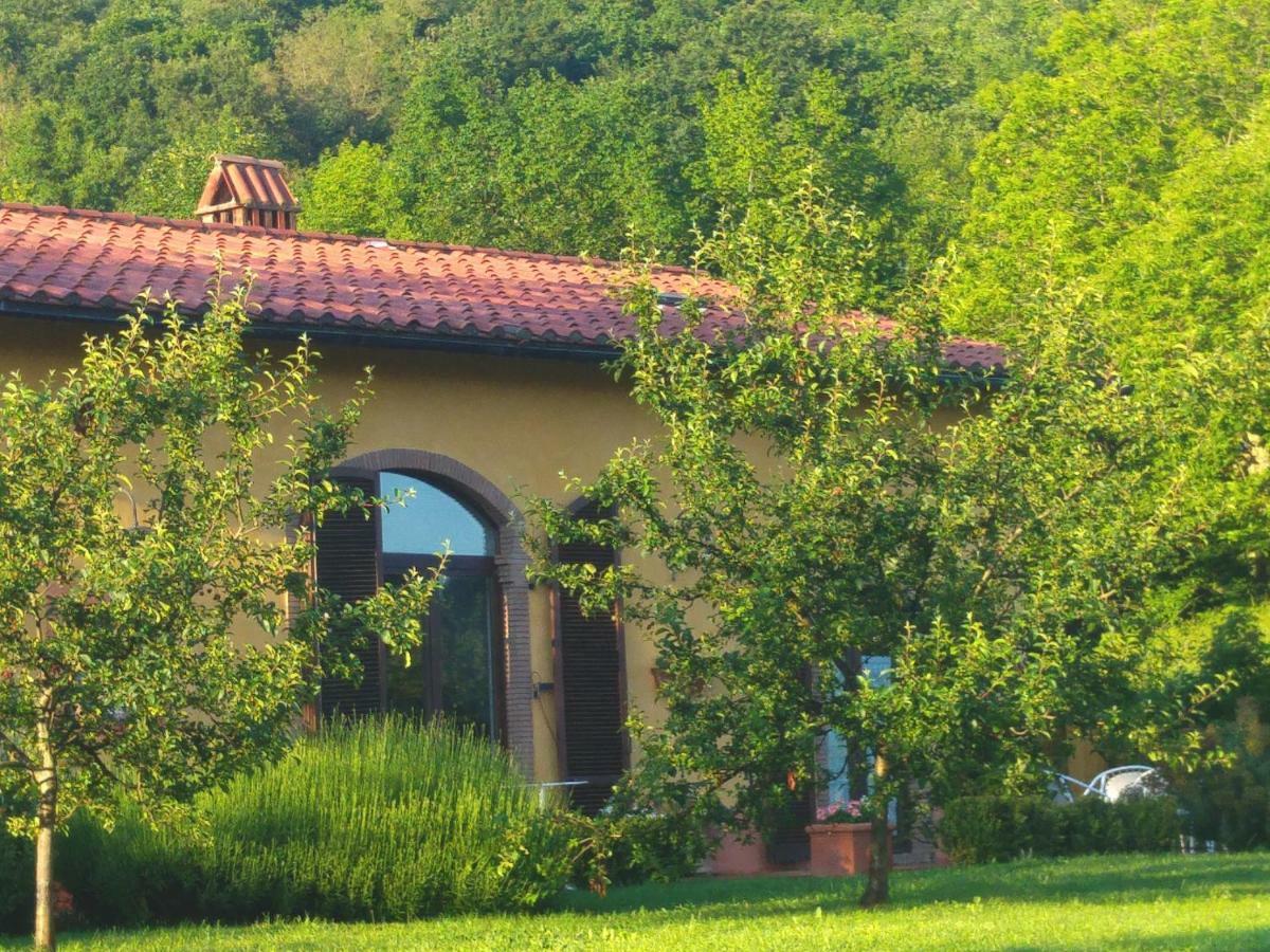 Podere Di Maggio - Casa Della Nonna Santa Fiora Dış mekan fotoğraf